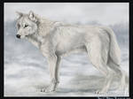 Cold by Yellow-eyes