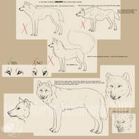 Drawing realistic wolves...