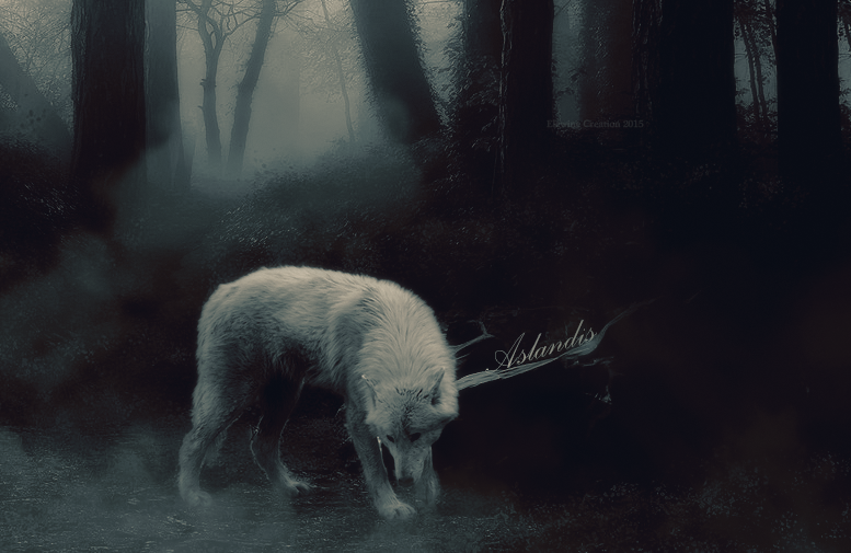 White Wolf Aslandis