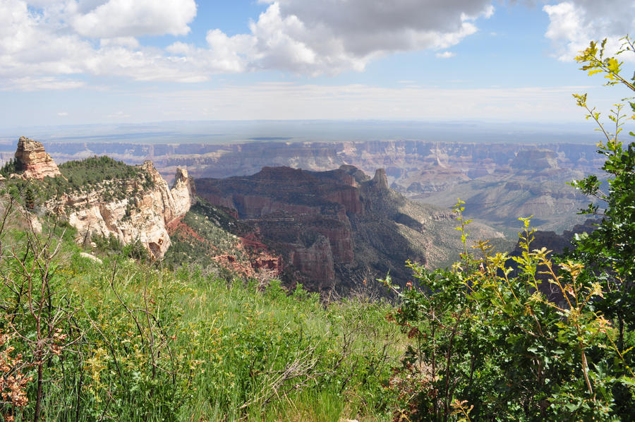 Grand Canyon 2