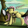 Fanart - MLP. Flutter-Hammoc