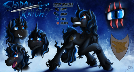 Reference Sheet - Shadow Knight