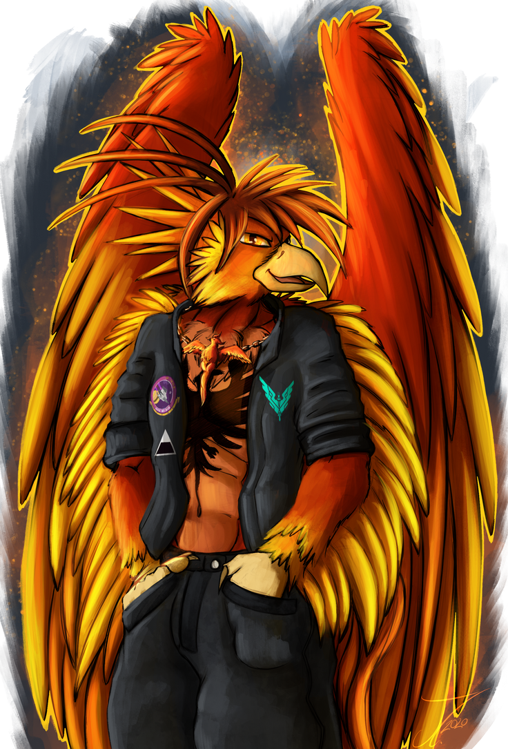 Phoenix X. The Rook Artwork - It's a Phoenix, it sure is by jamescorck on DeviantArt