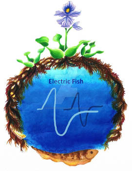 E-fish lab logo