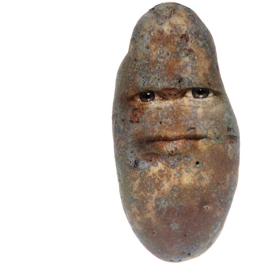 Potato