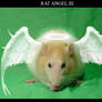 Rat Angel III