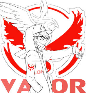 #TeamValor