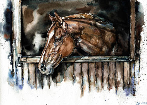 Horse, watercolor