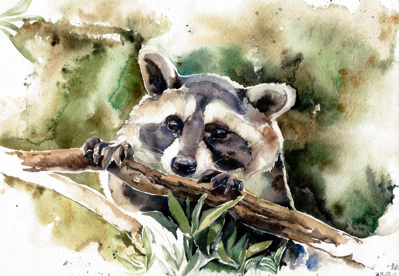 Watercolor Color Palettes