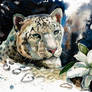snow leopard, watercolor