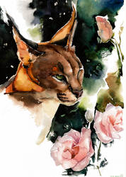 caracal with eustoma, watercolor