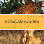 Going on an Adventurous trip to Africa?