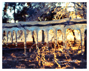 Frozen Wire