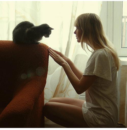 She and cat