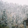 Pretty Snow4