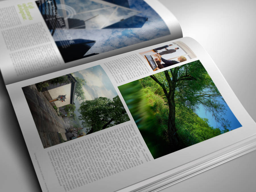 Sustainable annual report by Lemongraphic