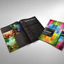 Foliomania designer portfolio brochure