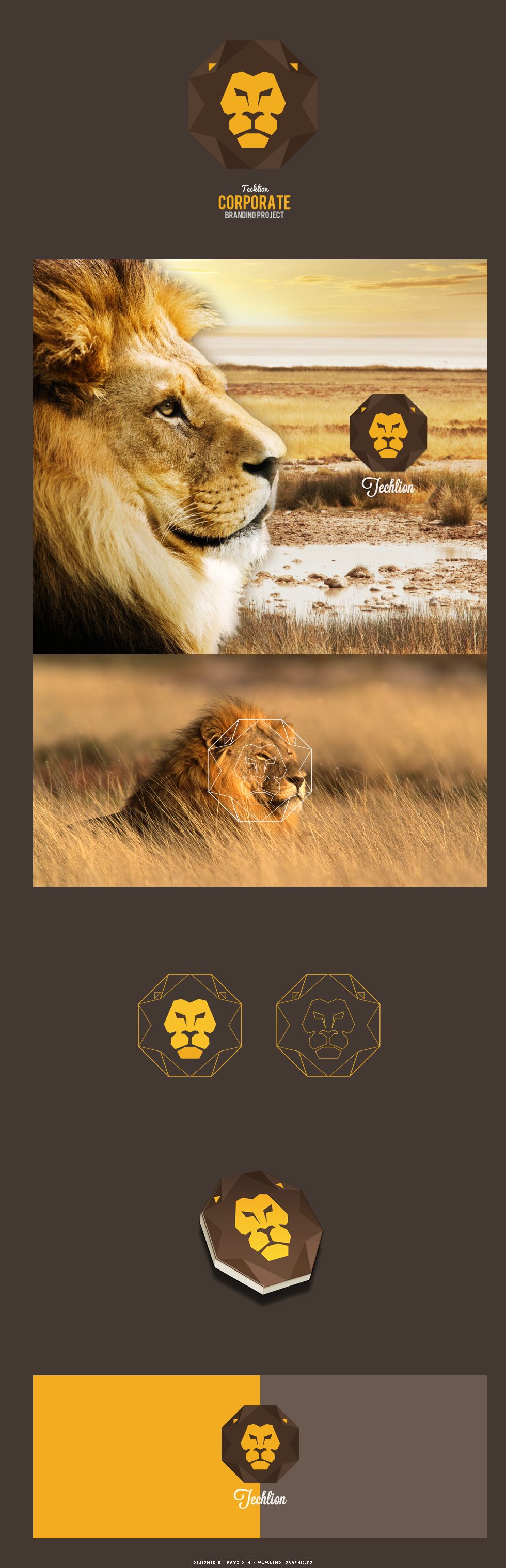 Techlion Corporate Branding Project