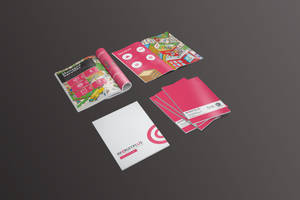 Recruitplus Corporate Profile Brochure Design