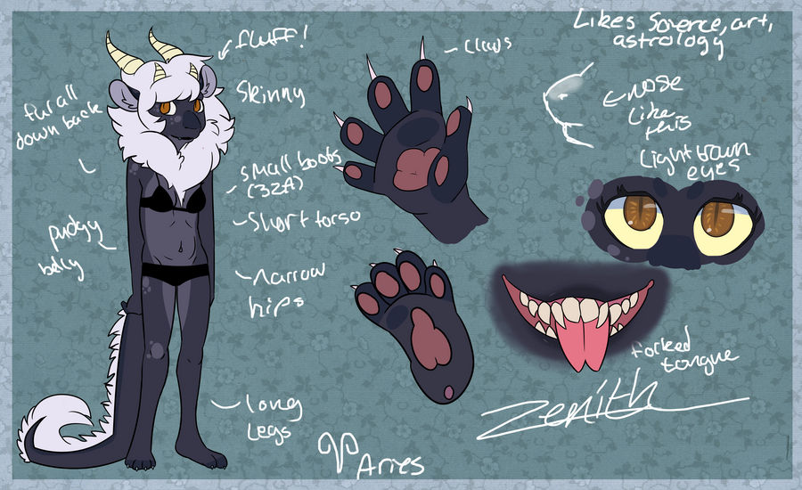 Zenith Ref