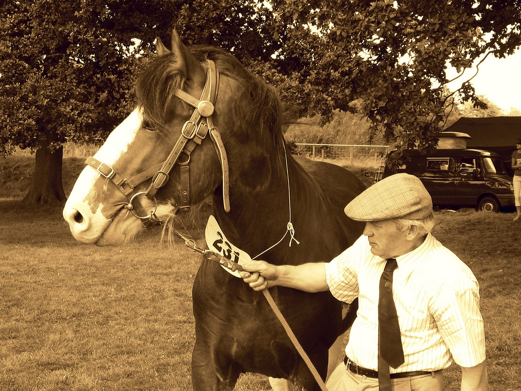 Old man and his horse