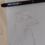 Crow sketch