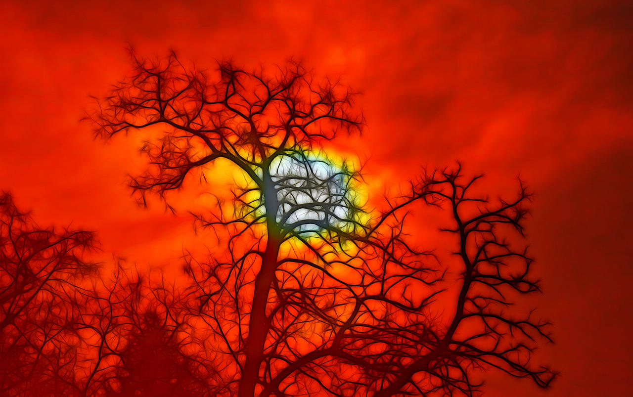 DSC0049 (rd3) by Placi1 on DeviantArt