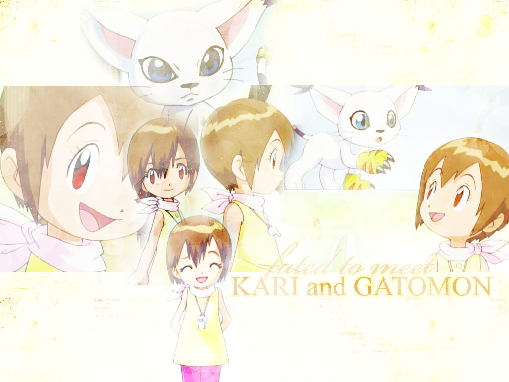 Fated to Meet: Kari + Gatomon