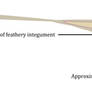 Yi qi, showing approximate centre-of-gravity