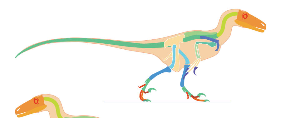 Utah Raptor Body Base Utahraptor prep by GaffaMondo on DeviantArt