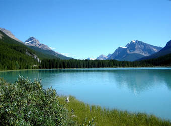 Summer in the Rockies