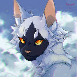 Other Cat Art On Warriors Cats Love Deviantart Other Cat Art On Warriors Cats Love Deviantart