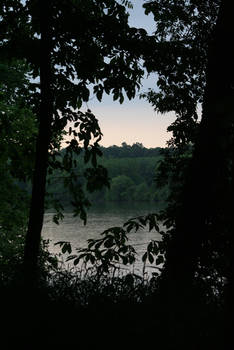 By the river