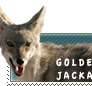 Golden Jackal stamp