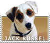 Jack Russel Stamp