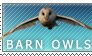 Barn Owls