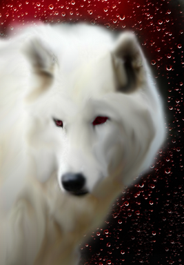 Blood wolf