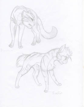 Warrior Cats x2