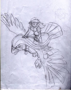 Flying High Pokemon SKETCH