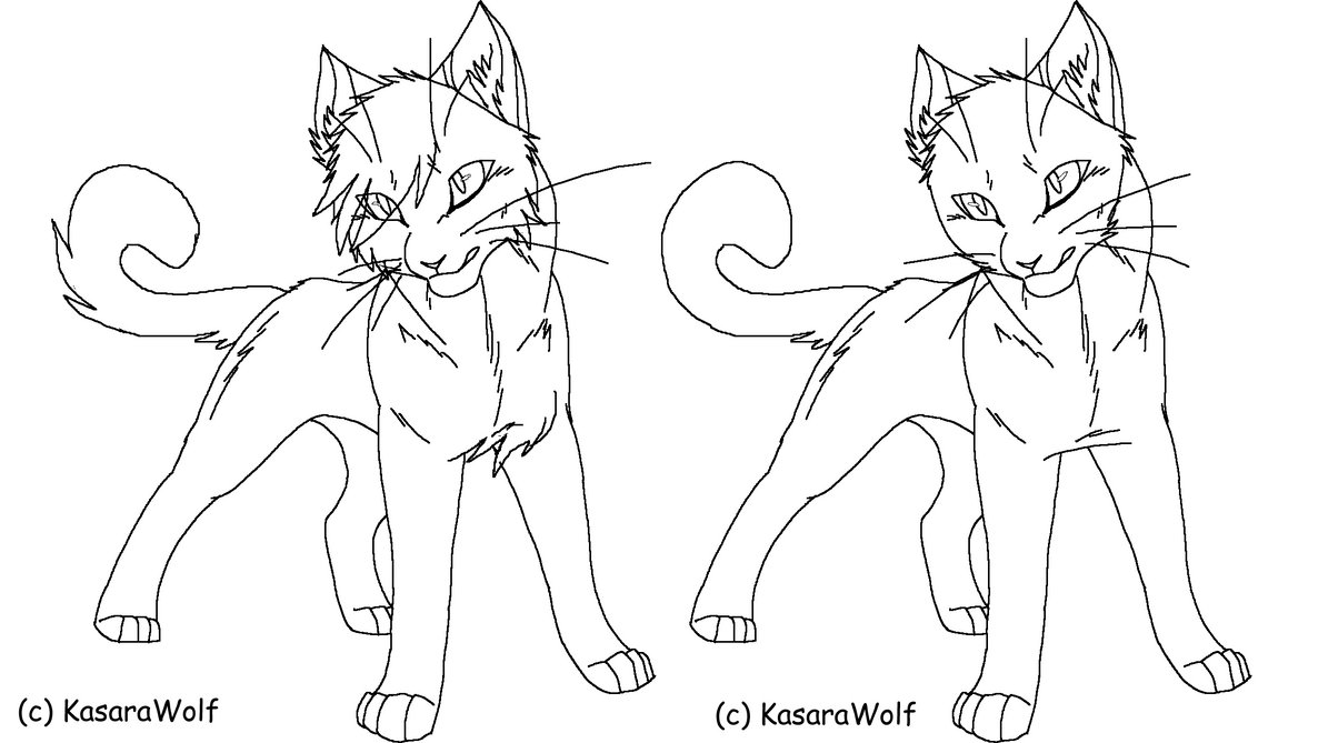Раскраска коты Воители Бич