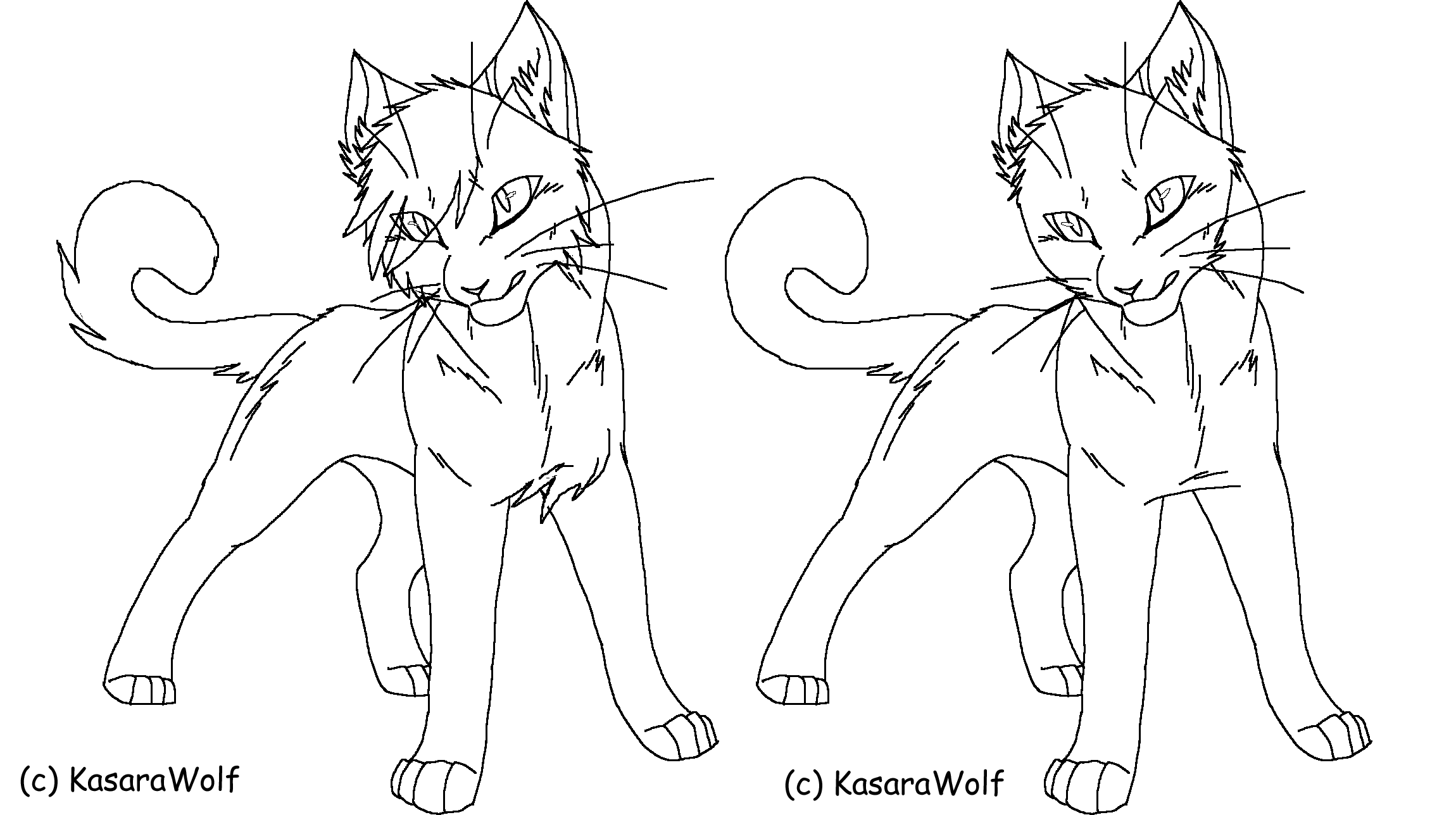 Warrior Cats-Warriors Template by KasaraWolf on DeviantArt