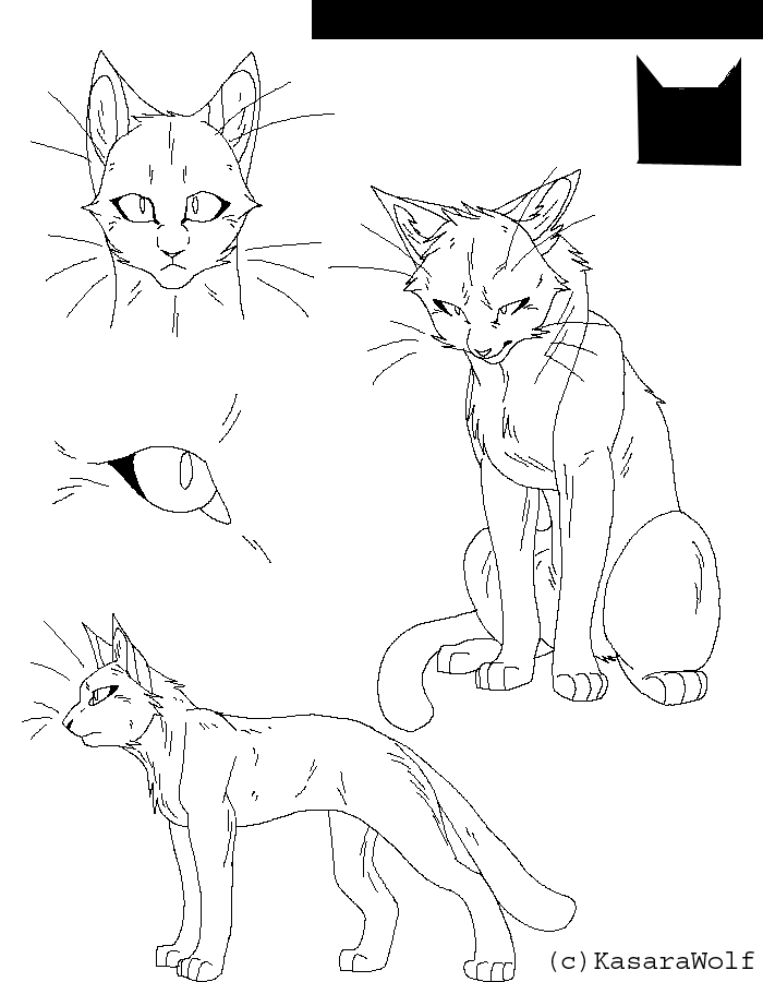 Warrior Cats CS Template by KasaraWolf on DeviantArt