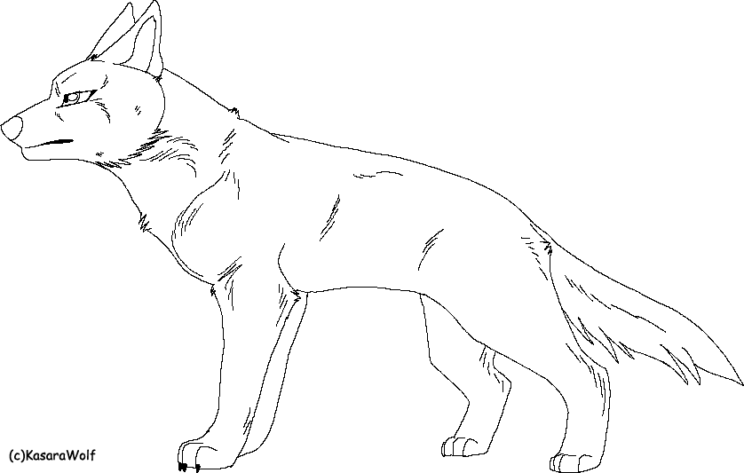 Ginga Styled GSD TEMPLATE