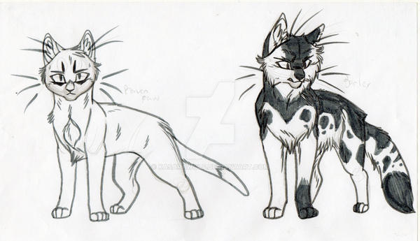 Warrior Cats Designs