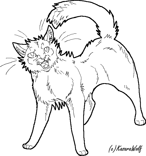 Angry cat line drawing art | Art Print