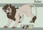 Dylan TEEN Ref SHEET 2013