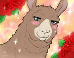 =That Fabulous Mr.Llama= by KasaraWolf
