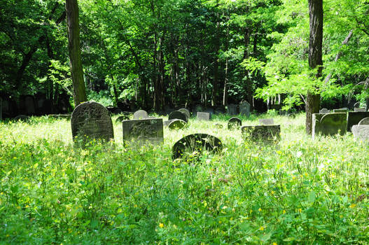 Poland: Jewish Cemetery i