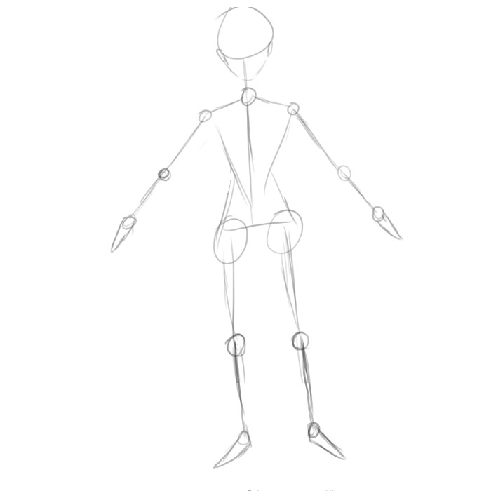 Girls Structur Basic female structure. by SLooGSarePeopleToo on DeviantArt