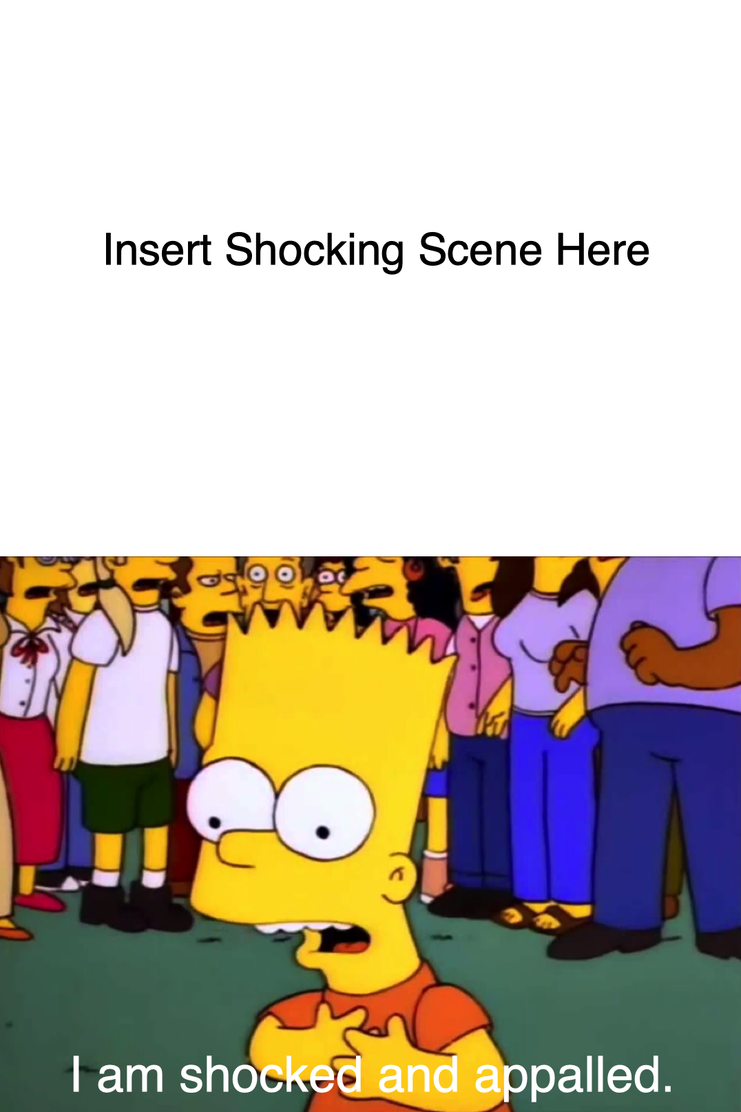 Bart Shocked and Appalled Blank Meme by JapaneseAnimeBeetleX on DeviantArt